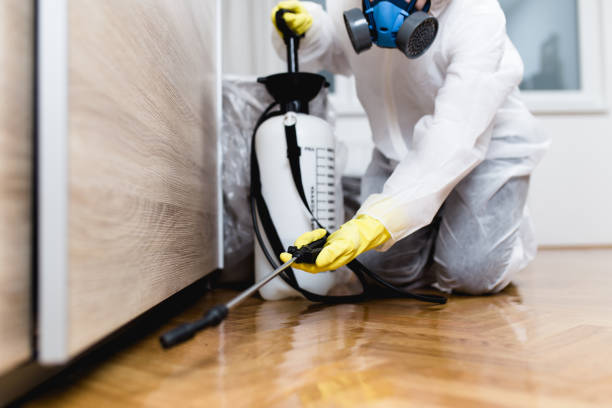 Best Pest Inspection Near Me  in Tallmadge, OH