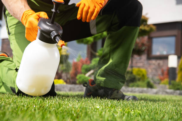 Best Mosquito Control Services  in Tallmadge, OH