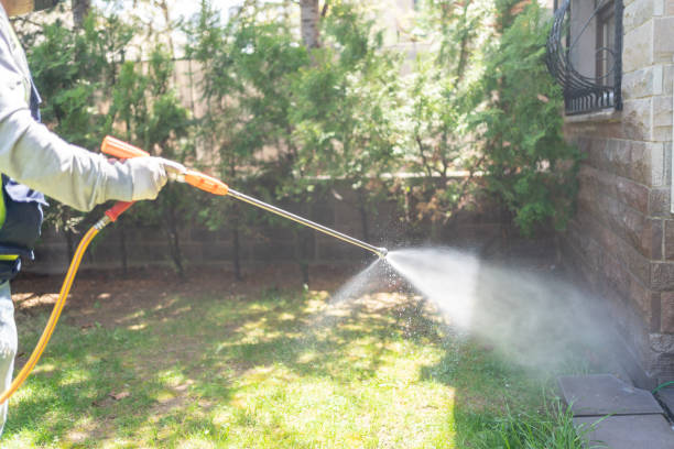 Best Termite Control Services  in Tallmadge, OH