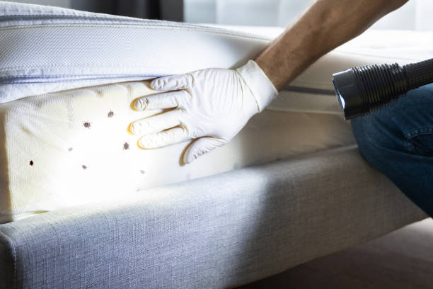 Pest Prevention Services in Tallmadge, OH
