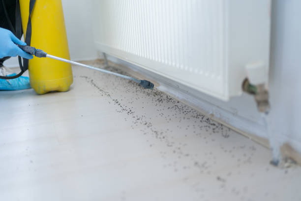 Best Pest Inspection Near Me  in Tallmadge, OH